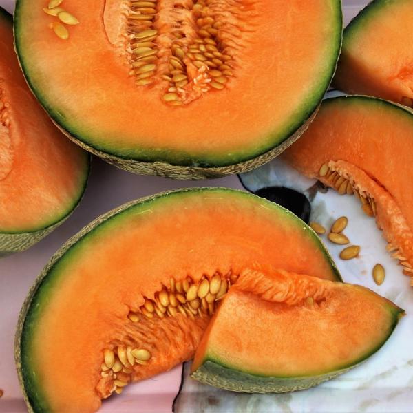 Melone: le ricette salate che non ti aspetti