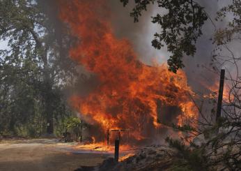 Incendio vicino allo Yosemite National Park in California, bruciati 4.000 ettari