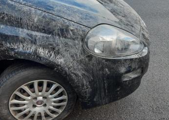 Orso danneggia un’auto in Alto Adige, il primo cittadino: “Io non ho potere”