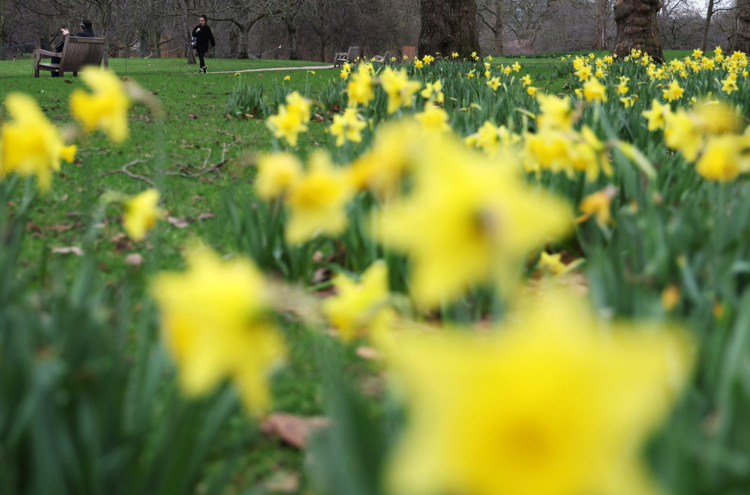 Quando inizia la primavera 2024?