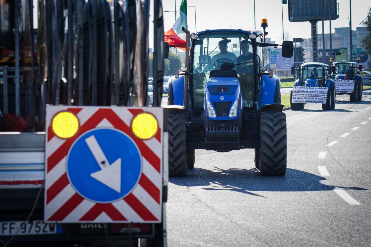 Protesta agricoltori: Foti (FdI): “Contestazioni contro iniziative Ue”. Vaccaro (Pd): “Commissario Ue tra conservatori”