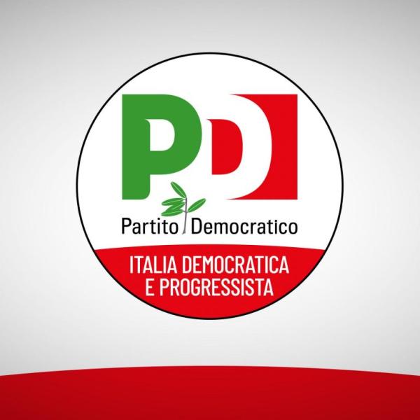 Partito Democratico viola statuto? “confronto segretari e capigruppo”, no alle primarie