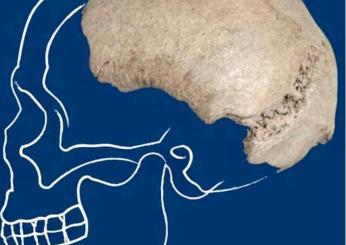 Il Po restituisce il cranio di un homo sapiens: la straordinaria sc…