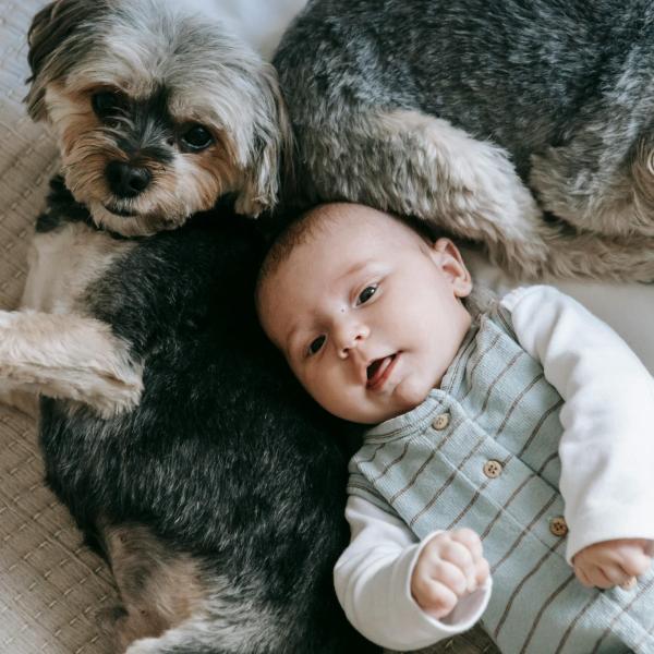 Neonati e animali domestici: come far convivere i “cuccioli” di casa