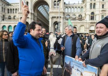 Agricoltori, maggioranza divisa: la Lega con Centinaio chiede di intervenire sull’Irpef. Donzelli e Barelli accusano l’Europa| VIDEO