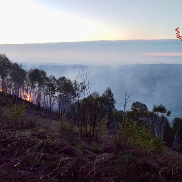 Bolzano, incidente sul lavoro a Nova Levante: boscaiolo viene travolto da un albero e muore