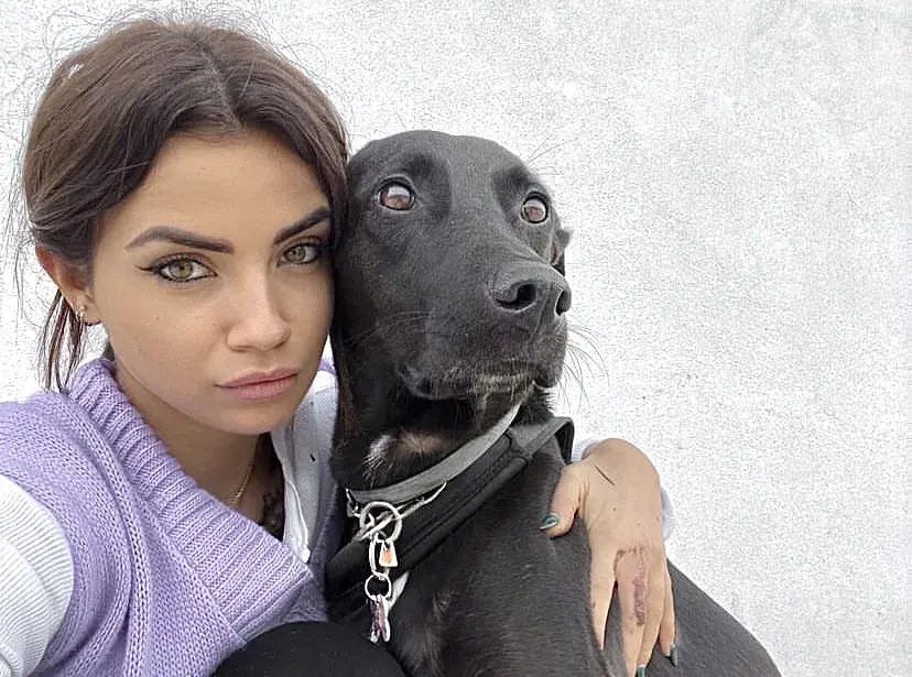 Eleonora Rocchini: come sta il cane Ares? L’influencer pubblica le foto delle fatture