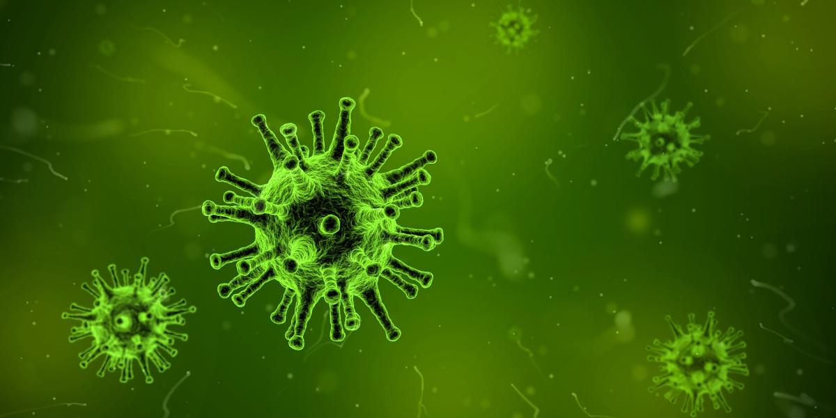 Coronavirus, l’epidemiologo Ciccozzi: “Variante indiana? Al momento…