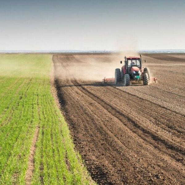 Domanda contributi diretti agricoli Pac, scadenza prorogata al 30 giugno: istruzioni ministero Agricoltura 