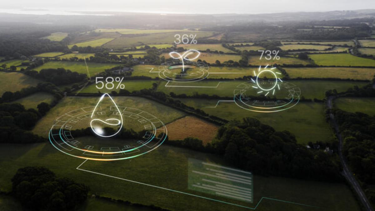 Risparmio idrico in agricoltura: le soluzioni innovative per la gestione sostenibile dell’acqua