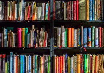 Crisi dei negozi a Treviso chiude anche la storica libreria Einaudi