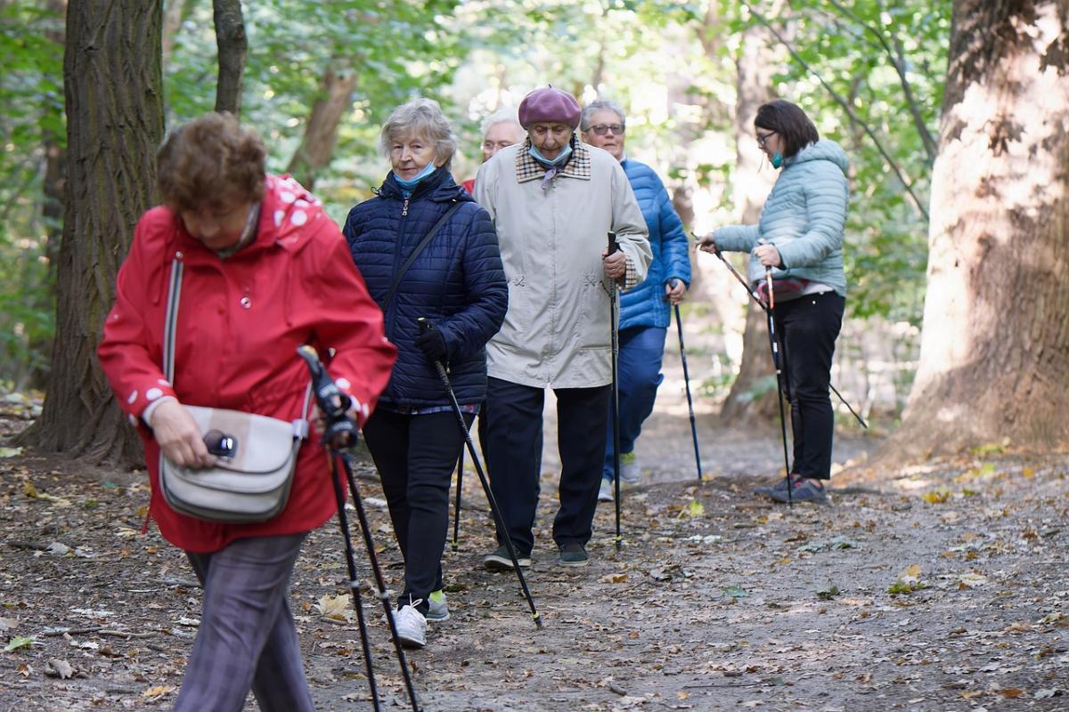 Pensione part-time a 63 anni nel 2024: ecco come potrebbe funzionare