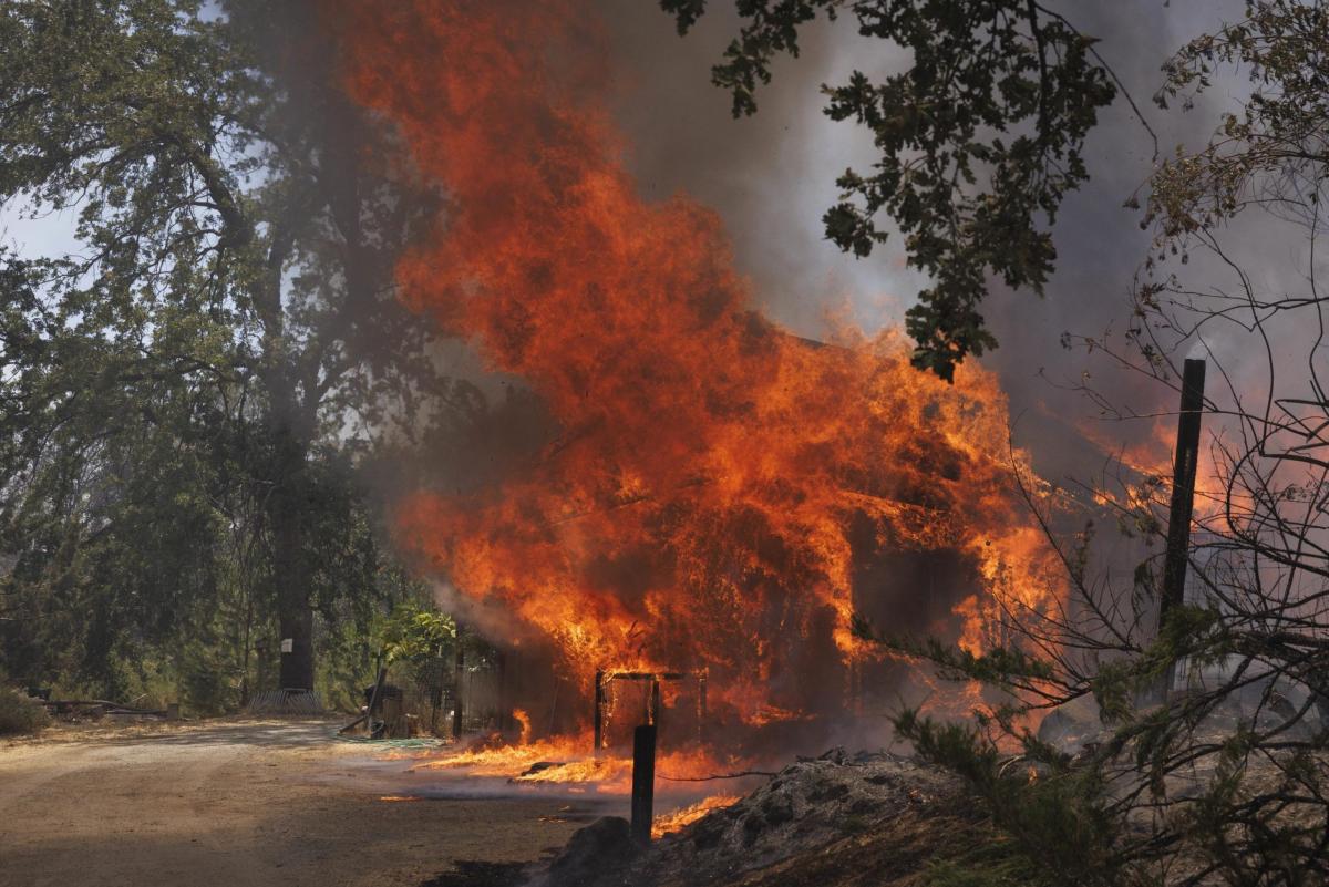 Incendio vicino allo Yosemite National Park in California, bruciati…