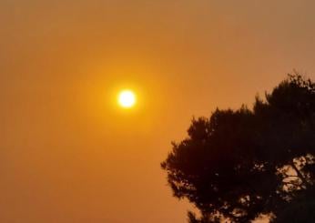 Caldo record in Sardegna, oggi a Jerzu il termometro tocca 48° | FOTO