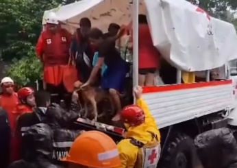 El Salvador, maltempo su tutto il Paese: piogge e inondazioni provocano 12 morti e duemila sfollati | VIDEO