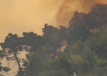 Massarosa, incendio sulle colline lucchesi. Evacuate 40 persone