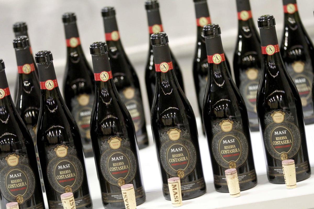 Furto Amarone a Verona, rubate 9000 bottiglie