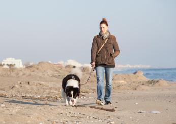 L’incubo di andare in affitto con un animale domestico