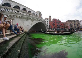 Venezia, acqua verde fosforescente nel Canal Grande: si indaga sull…