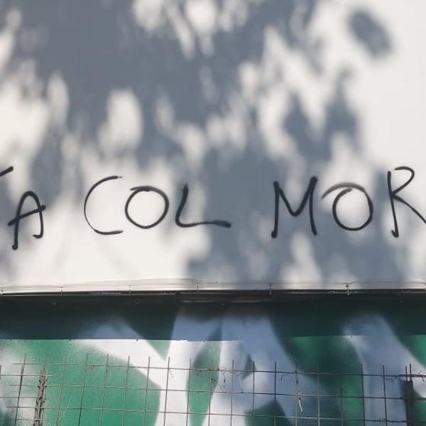 “Vota col morto”: la scritta che sfregia i manifesti elettorali di Forza Italia con Tajani e Berlusconi