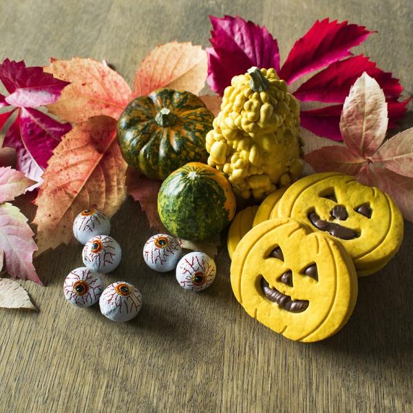 Biscotti di Halloween facili da preparare: ecco le ricette più veloci e originali