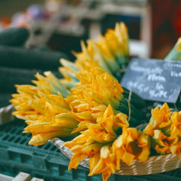 Fiori di zucca: ricette veloci da non perdere