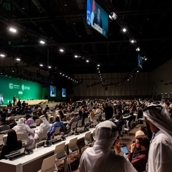 COP28, Papa Francesco: “Il domani o sarà di tutti o non sarà”