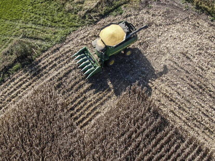 Domanda aiuti Pac, più tempo ai 700mila agricoltori interessati: ecco la scadenza e le novità per accedere ai pagamenti