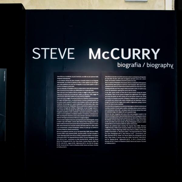 Steve McCurry a Bologna: tutto sulla mostra “Animals” a Palazzo Belloni