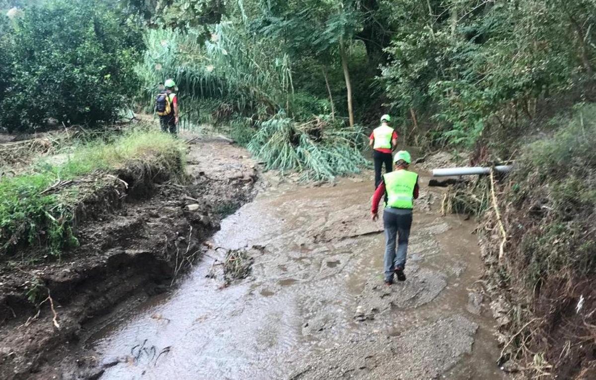 Colombia, dispersi quattro bambini da 16 giorni nella giungla: smen…