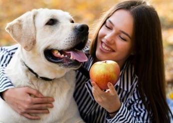 I cani possono mangiare la frutta? E quali tipologie, invece, sono da evitare