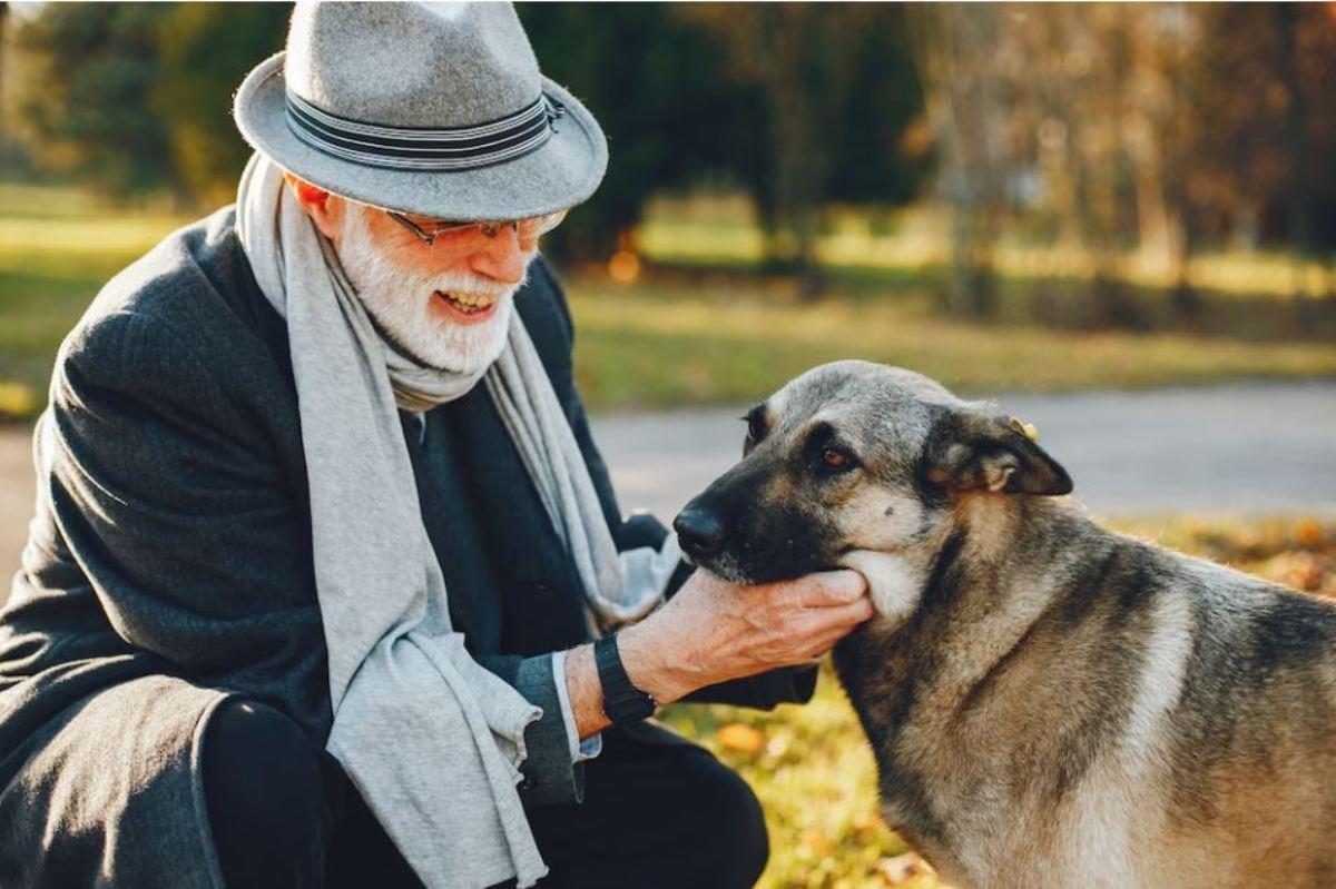 Qual è l’effetto dei cani sulle persone anziane? Ecco i tanti benef…