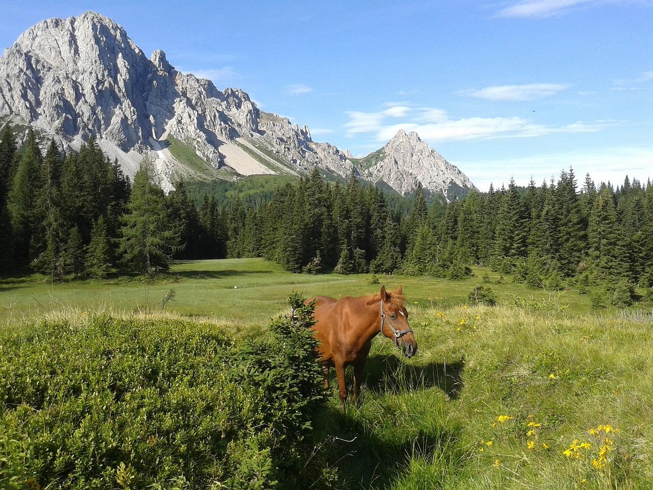 Quali sono i posti iconici del Friuli Venezia Giulia da non perdere in autunno