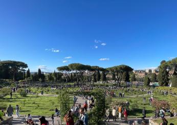 Torna il roseto comunale di Roma: apertura, orari, prezzi e dove si trova il giardino delle rose