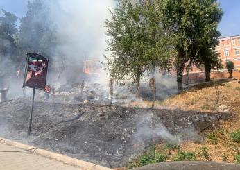 Caos di fuoco a Roma, scoppiato un incendio vicino a una scuola a Casalotti: fumo nero e bimbi evacuati da un campo estivo | VIDEO e FOTO