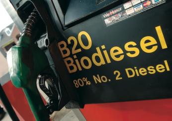 Biodiesel cos’è: come viene prodotto e quali vantaggi offre per la mobilità sostenibile?