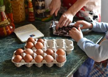 Torta Kinder fetta al latte: buona come l’originale