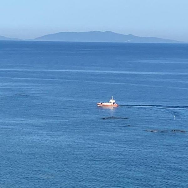 Sardegna, relitto riappare dopo 80 anni