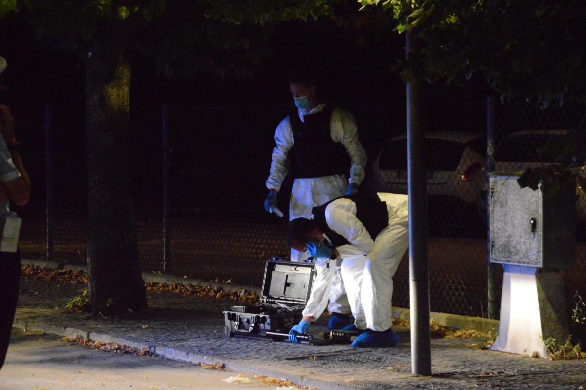 Ucciso con una fiocina a Sirolo (Ancona), il fratello: “Morto per a…