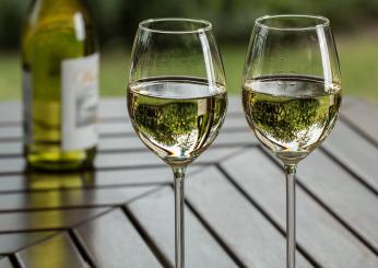 Vino, in Italia calo dei consumi: dal 2019 si beve meno. Crolla il mercato dei rossi, le bollicine resistono