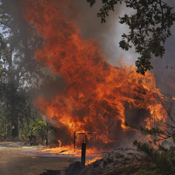 Incendio vicino allo Yosemite National Park in California, bruciati…