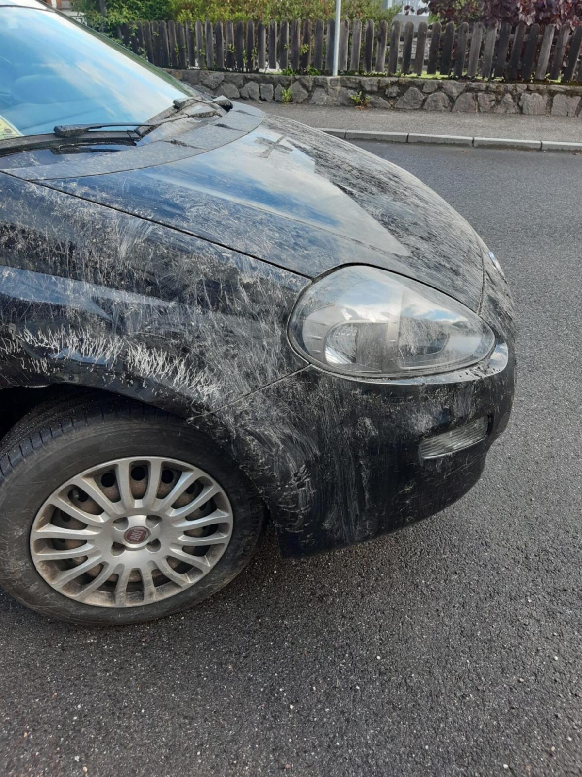 Orso danneggia un’auto in Alto Adige, il primo cittadino: “Io non h…