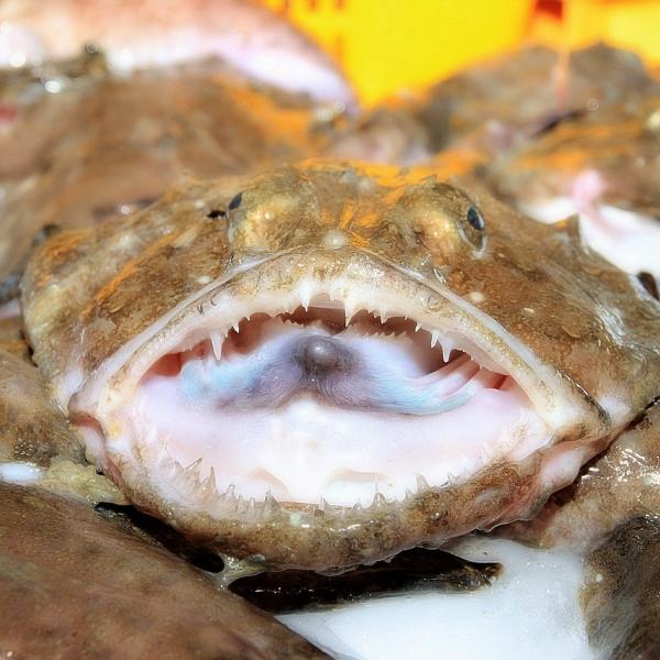 Voglia di mare: ricetta della rana pescatrice con pomodorini