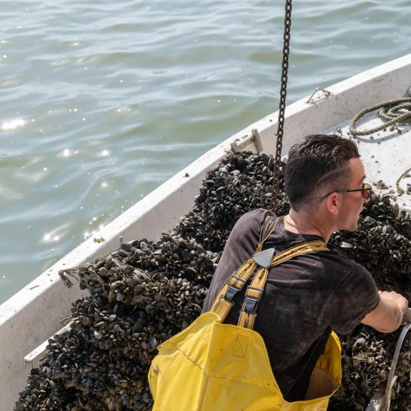 Fermo pesca 2022: autorizzato il pagamento dell’indennità agli aventi diritto