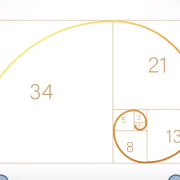 A cosa serve la formula di Fibonacci? Tutto sulla sequenza dietro cui si cela la perfezione assoluta