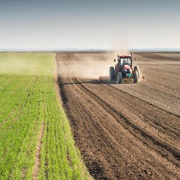 Contributi a fondo perduto agricoltura fino al 100%, aperta la piattaforma per la domanda dei bonus