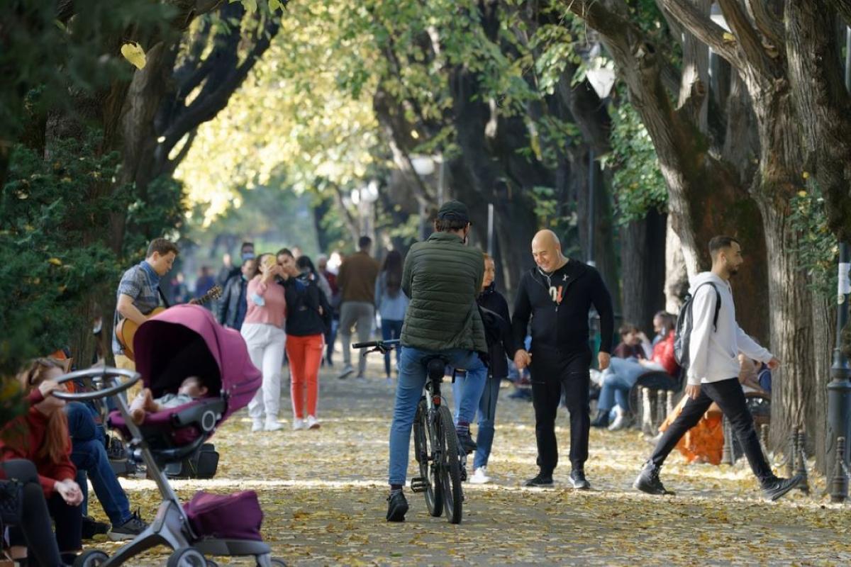 INPS al via i pagamenti di maggio 2023, ecco le date di accredito: …