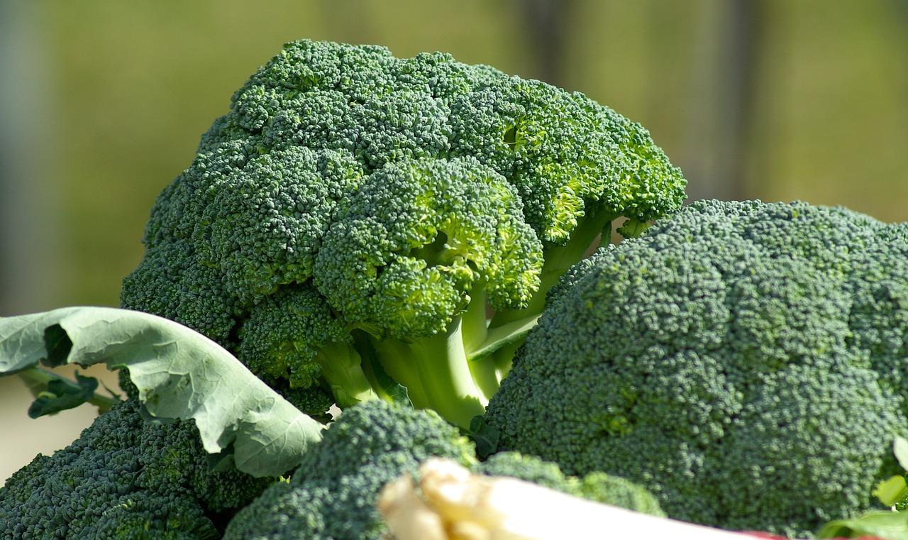 Come cucinare i broccoli in padella: ricette e accostamenti