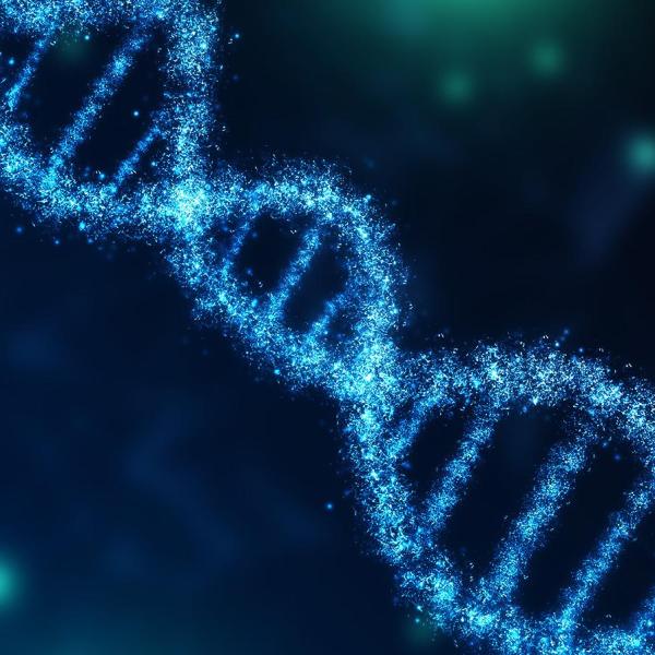 Cosa si scopre con l’analisi del DNA, a cosa serve e quanto costa