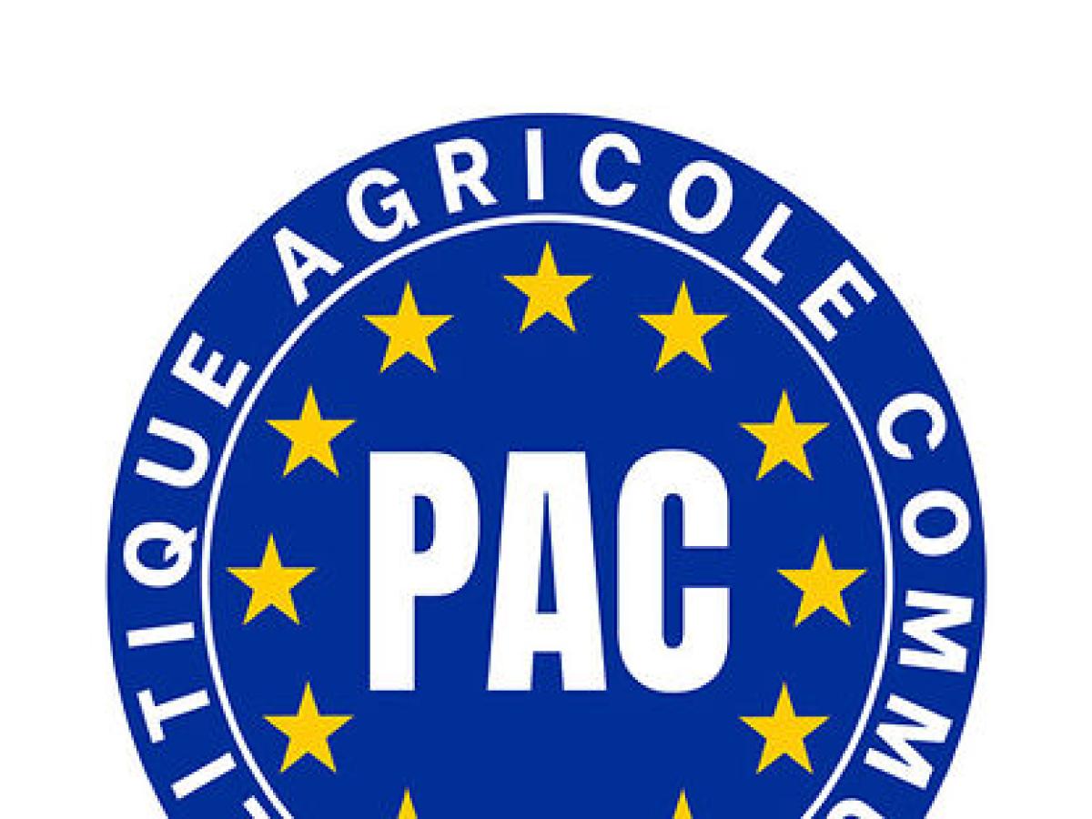 Pagamento aiuti Pac agricoltura entro il 30 novembre 2023, ma anticipi tagliati fino al 37,5%: ecco perché e cosa fare